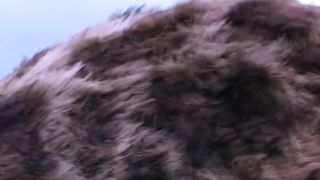 Ещё одно чудесное утро