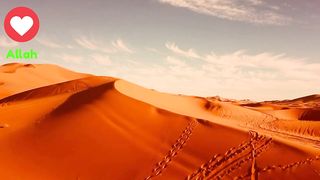 Hazrat Musa (AS)  ke hatho qabti ka qatal | Qisas ul anbiya