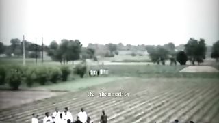 Imran khan king pakistan