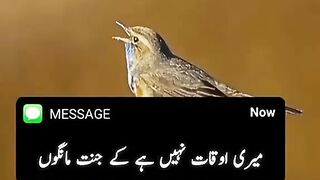 Islamic video...