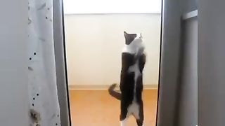 Dancing on the floor