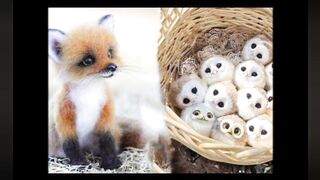 Cutest Pet Animals