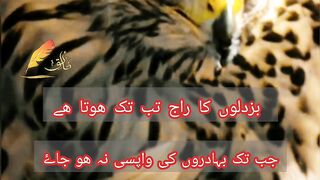Fellow and subsricbe My Chennal