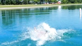 crazy videos