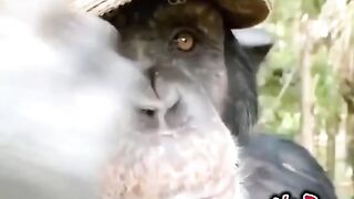 Выходные