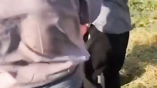Prank & Comedy Scene | Funny Dog Prank
