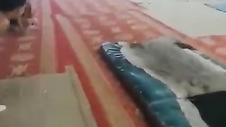 respect video watch till enddd