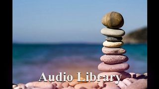 Equilibrium — Max Maikon - Free Background Music - Audio Library