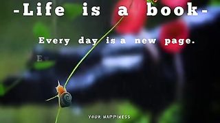 Life is a book everyday is a new page