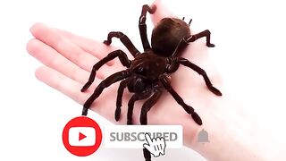 20 People You Won't Believe Existed Till You See Them
