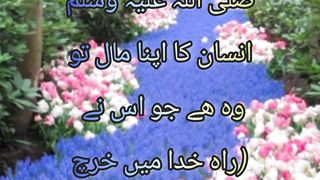 Ansan ka apna maal kon sa ha?? Sunniay