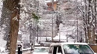 Very beauty view