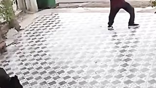 Dangerous Man Attacked on the Dog