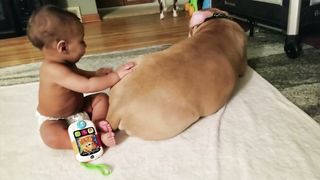 Cute Babies Playing With Dogs Compilation  Funny Baby And Pets