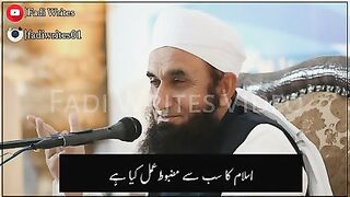 Mohabbat  moulana tariq Jamal  beautiful bayan_whatsapp status