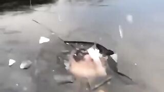 Respect Videos Plz Follow