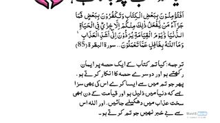 اسلامی نظام ے عدل
