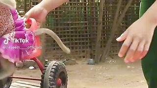 Funny video. Monkey funny video.best funny vedio.funny vedio2023.