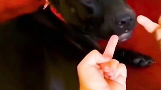 смотрите-до-конца_81.