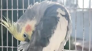 Cute cocktails