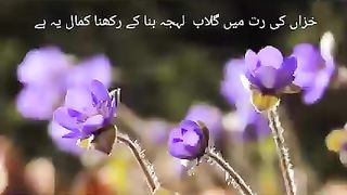 Khizan ki rut men ghulab lehja - Mubarak Siddique