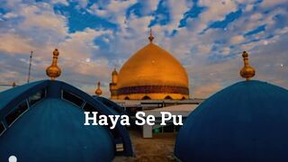 Ya Ali Status video
