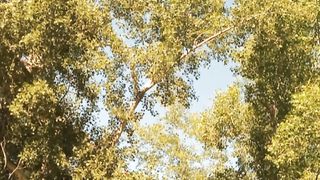 Mining ⛏️ bitcoin