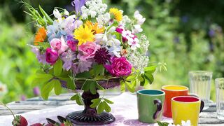 Beautiful flowers video 2023