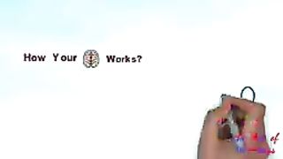 Brain Rules Book Summary 12 Rules for Brain  Dimag taz Karne ka tarika