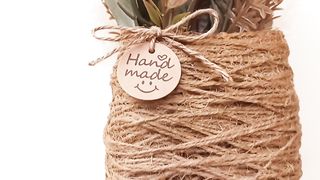 Jute Rope Flower hanging basket
