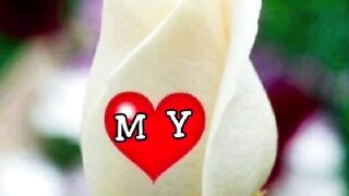 Enjoy