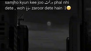 MOLA ALI (A.S) KA FARMAN H |Mola Ali (a.s) ka farman h