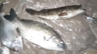 Fishing