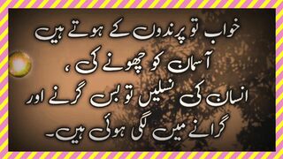 خواب تو پرندوں کے ہوتے ہیں آسمان کو چھونے کی