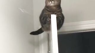 The perfect place to relax