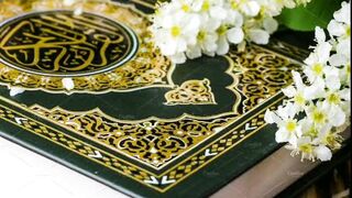 Islamicvideos#youtubeshorts #youtube #ytshorts#youtubevideo