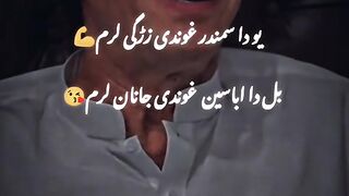 Amazing short video watch
