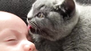 Cute baby and cat ????
