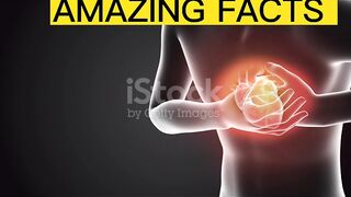Top Amazing Facts In Human