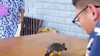 A story of husband and wife -- funny video _shorts _comedy _funnyvideo _funny