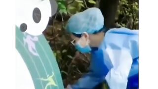 Cute Panda -Pls