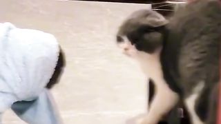 Funny video