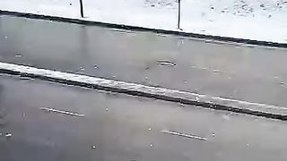 Snow  ❄️ falling