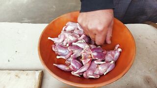 Jungle babbler recipe - How to make the best bird food | Natural Village Food