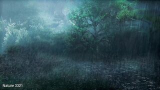 Relaxing with Nature Sounds winter Rain