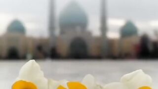 Ae yousaf ae Zahra s.a