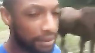 Donkey and Man Talking