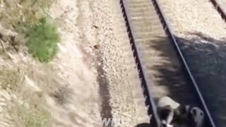 Luckiest people caught on camera !