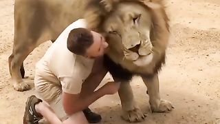 Lion vs Man