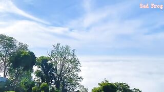 Nature Vedio